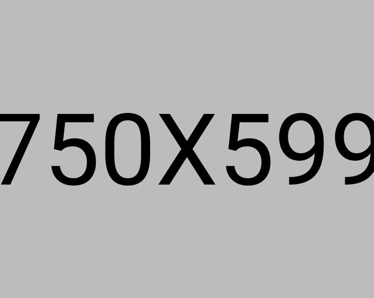 Stylish Dinner Chairs