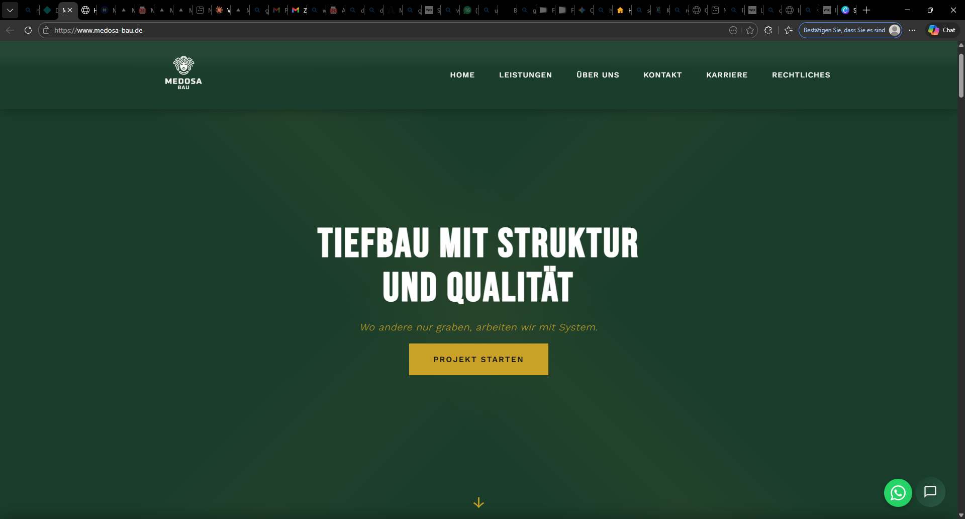 Medosa Bau Website Screenshot