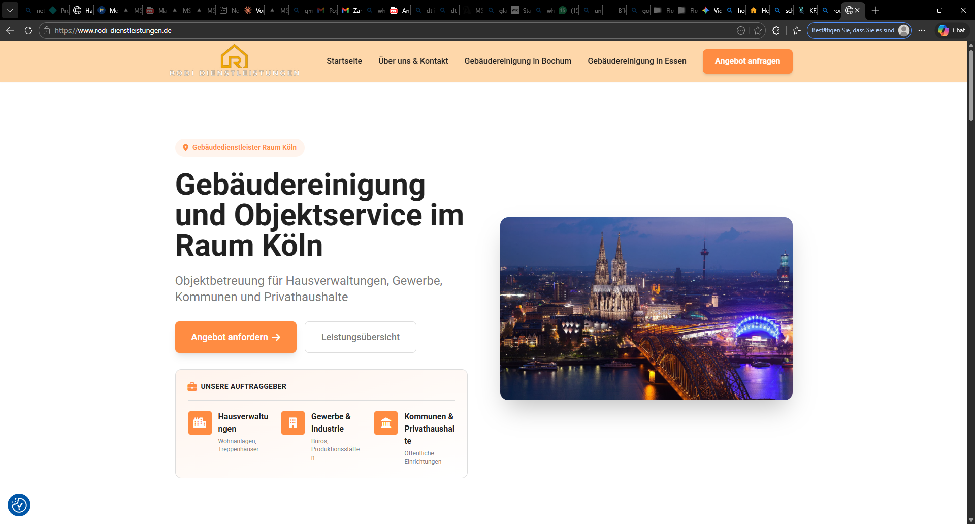 Rodi Dienstleistungen Website Screenshot